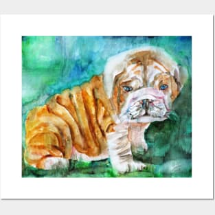 BULLDOG PUPPY  - watercolor portrait Posters and Art